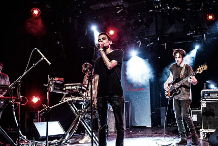 the wombats